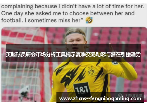 英超球员转会市场分析工具揭示夏季交易动态与潜在引援趋势