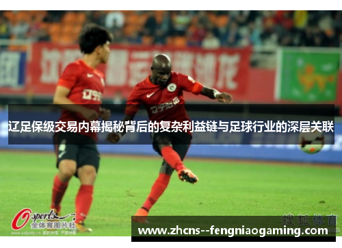 辽足保级交易内幕揭秘背后的复杂利益链与足球行业的深层关联 辽足保级交易内幕揭秘背后的复杂利益链与足球行业的深层关联