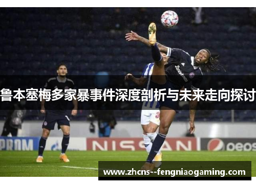 鲁本塞梅多家暴事件深度剖析与未来走向探讨