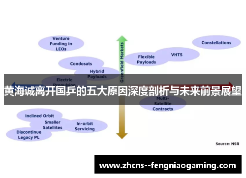 黄海诚离开国乒的五大原因深度剖析与未来前景展望