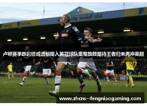 卢顿赛季跌宕终成遗憾降入英冠球队重整旗鼓期待王者归来再冲英超